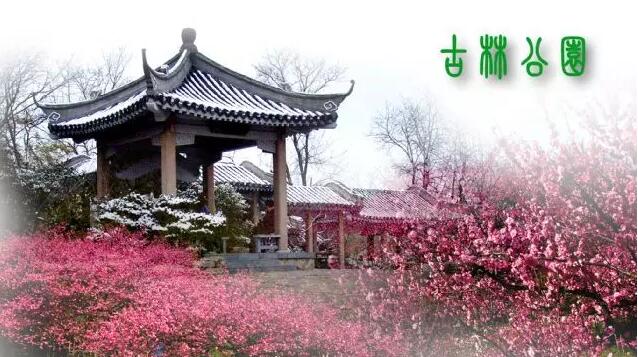 <b>【南京三門灣電器】周日4.24古林公園賞牡丹花、</b>